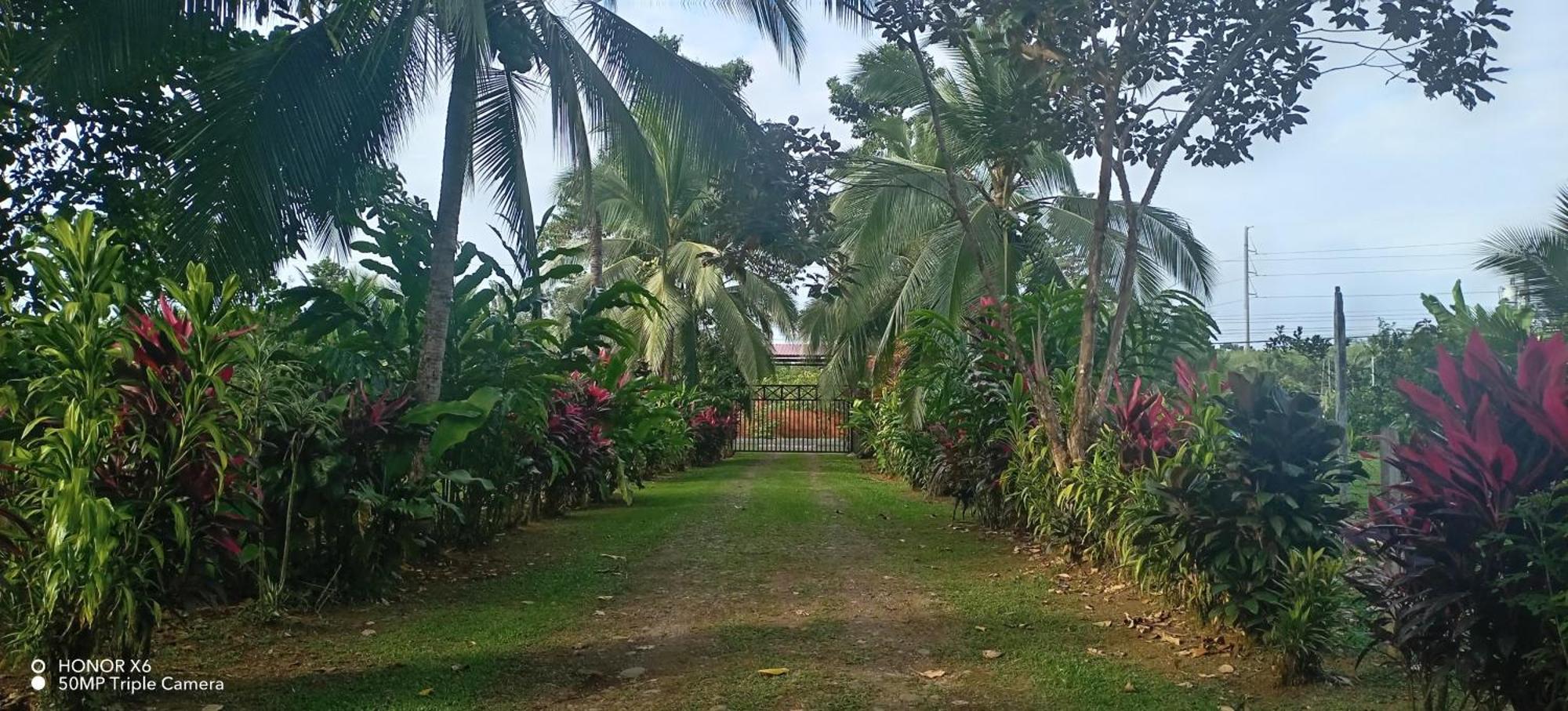 Finca La Paz - Sarapiqui Puerto Viejo de Sarapiqui Exterior foto